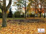 OZIMEK_SKWEREK_DK_17.10.2013_1