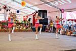 DOZYNKI_GMINNE_2014_-_DII_497