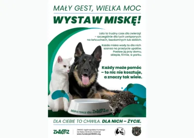 „Mały gest, wielka moc – wystaw miskę!”