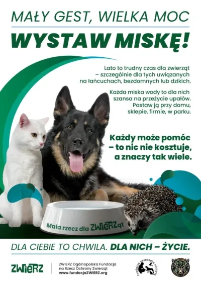 Wystaw miskę-ulotka