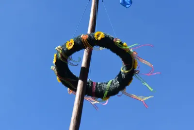 Maibaum w Schodni