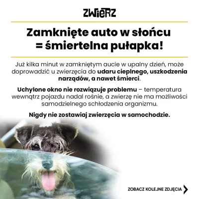 Fundacja ZWIERZ plakat