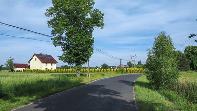 Pustków