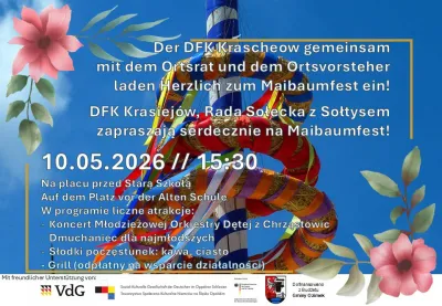 Tradycyjne stawianie drzewka majowego w Kraiejowie