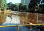 o_30_006Pp