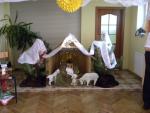 DSCN4926_1
